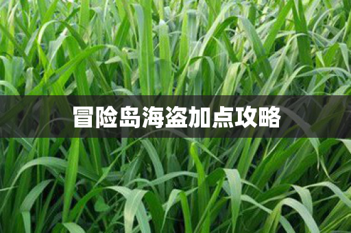 冒险岛海盗加点攻略图片