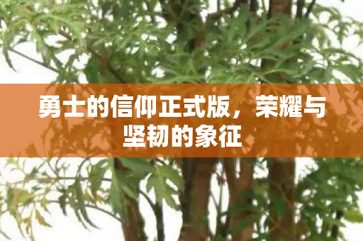 勇士的信仰正式版图片