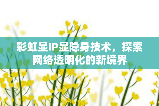 探索网络透明化的新境界图片