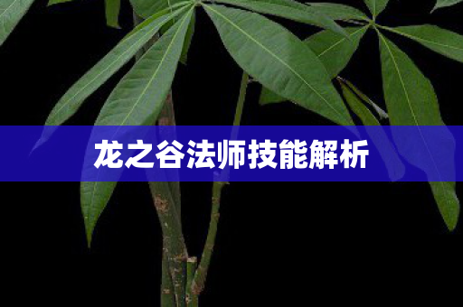 龙之谷法师技能解析图片