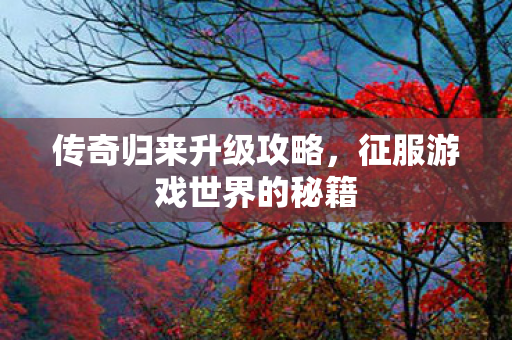 征服游戏世界的秘籍图片