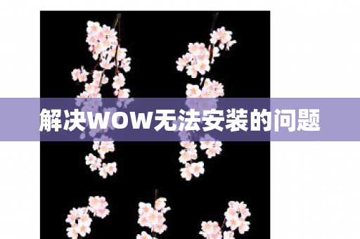 解决WOW无法安装的问题图片