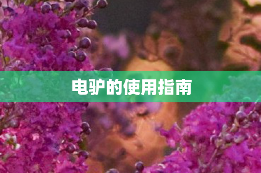 电驴的使用指南图片