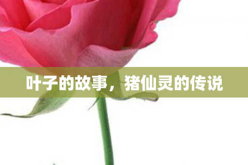 猪仙灵的传说图片