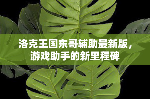 洛克王国东哥辅助最新版图片