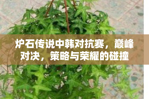 炉石传说中韩对抗赛图片
