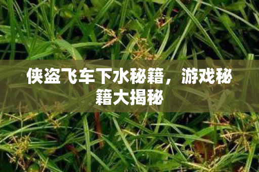 侠盗飞车下水秘籍图片