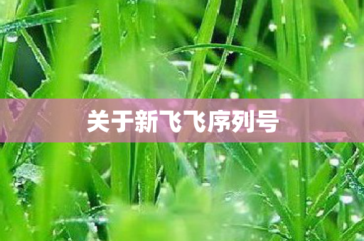 关于新飞飞序列号图片