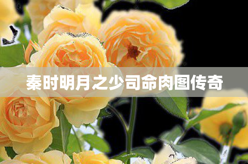 秦时明月之少司命肉图传奇图片