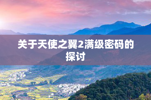 关于天使之翼2满级密码的探讨图片