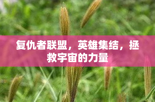拯救宇宙的力量图片