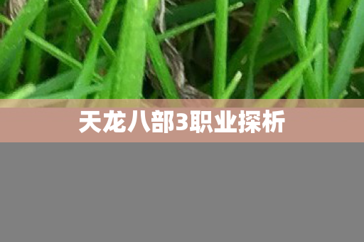 天龙八部3职业探析图片