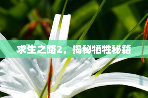 揭秘牺牲秘籍图片