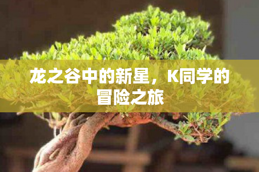K同学的冒险之旅图片