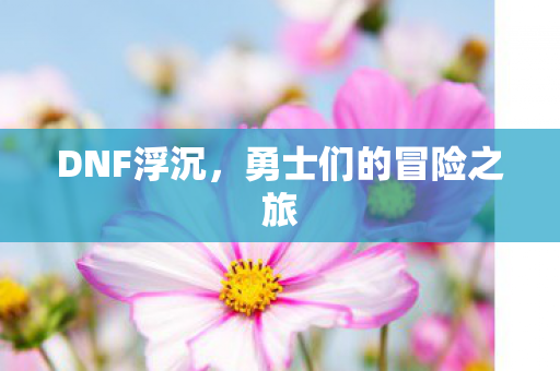 勇士们的冒险之旅图片