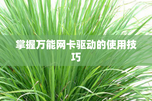 掌握万能网卡驱动的使用技巧图片