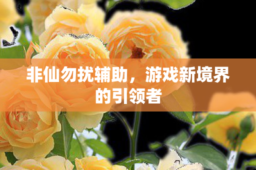 游戏新境界的引领者图片