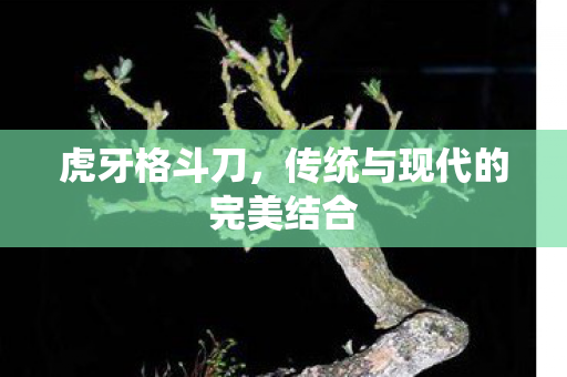 传统与现代的完美结合图片