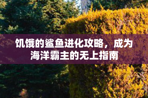 成为海洋霸主的无上指南图片