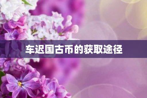 车迟国古币的获取途径图片