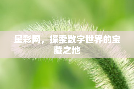 探索数字世界的宝藏之地图片