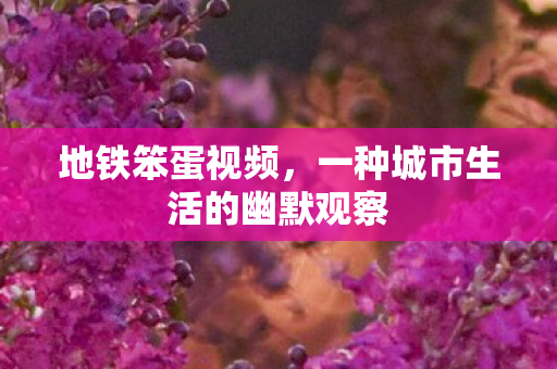 一种城市生活的幽默观察图片