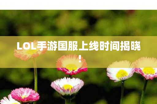 LOL手游国服上线时间揭晓图片