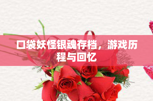 口袋妖怪银魂存档图片
