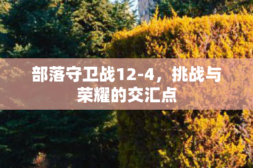 挑战与荣耀的交汇点图片