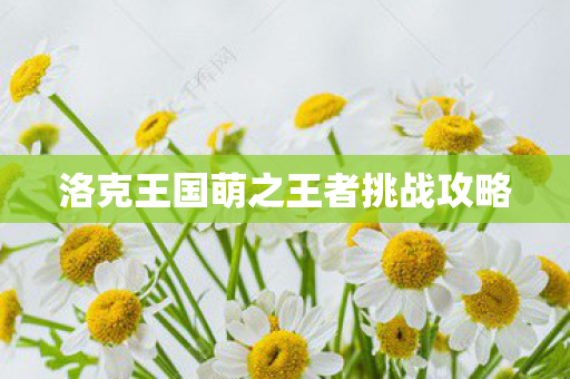 洛克王国萌之王者挑战攻略图片