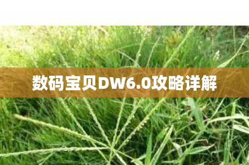数码宝贝DW6图片