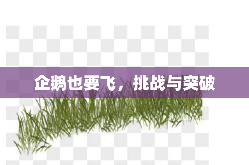 企鹅也要飞图片