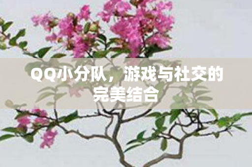 游戏与社交的完美结合图片