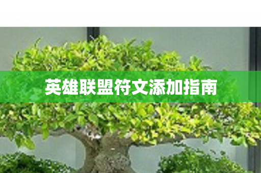 英雄联盟符文添加指南图片