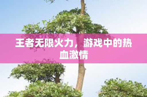游戏中的热血激情图片