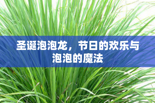 节日的欢乐与泡泡的魔法图片