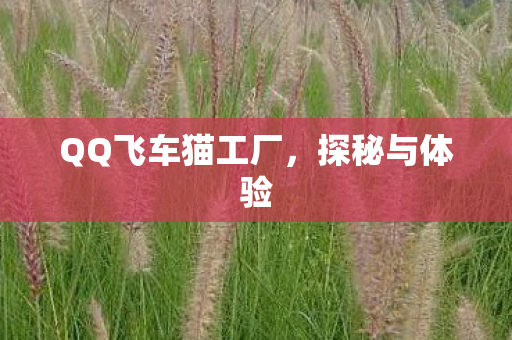 QQ飞车猫工厂图片