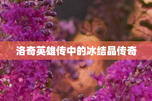 洛奇英雄传中的冰结晶传奇图片