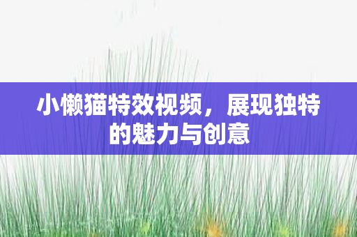 展现独特的魅力与创意图片