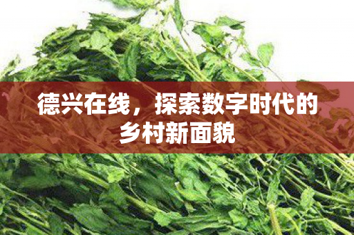 探索数字时代的乡村新面貌图片