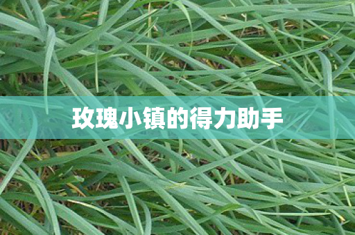 玫瑰小镇的得力助手图片