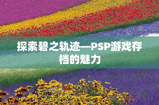 PSP游戏存档的魅力图片