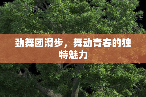 舞动青春的独特魅力图片