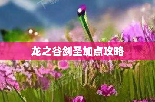 龙之谷剑圣加点攻略图片