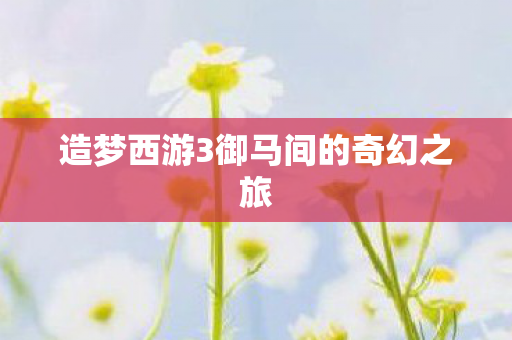 造梦西游3御马间的奇幻之旅图片