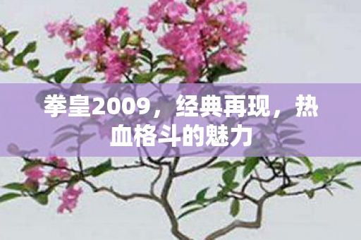 热血格斗的魅力图片