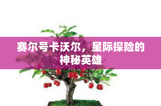 星际探险的神秘英雄图片