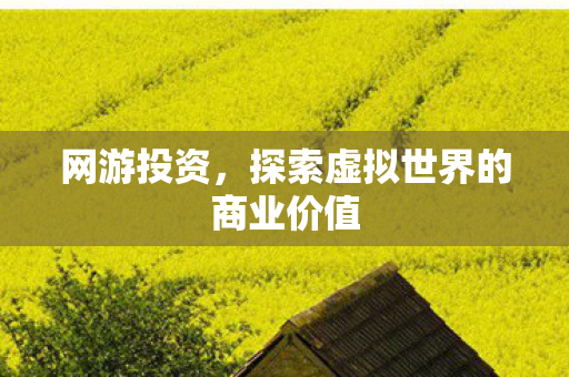 探索虚拟世界的商业价值图片