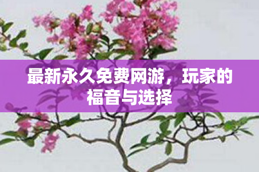 最新永久免费网游图片