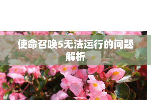 使命召唤5无法运行的问题解析图片